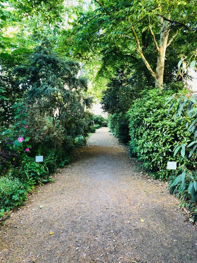 Southern Belgravia Apartments London Bagian luar foto